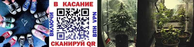Купить Киселёвск ГАШИШ  Cocaine  Метамфетамин  Конопля  МЕФ  Alpha-PVP 