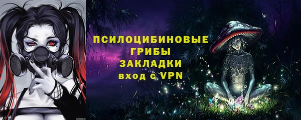 метадон Алексин