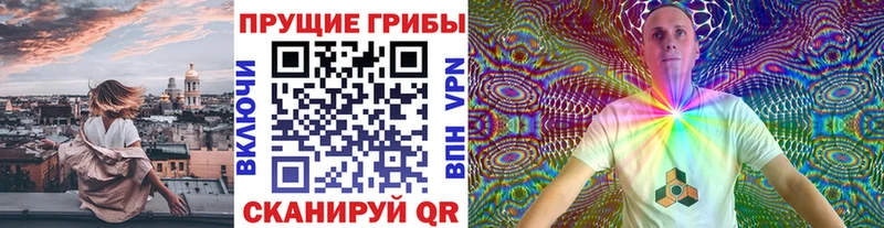 Псилоцибиновые грибы Cubensis  гидра ссылка  Киселёвск 